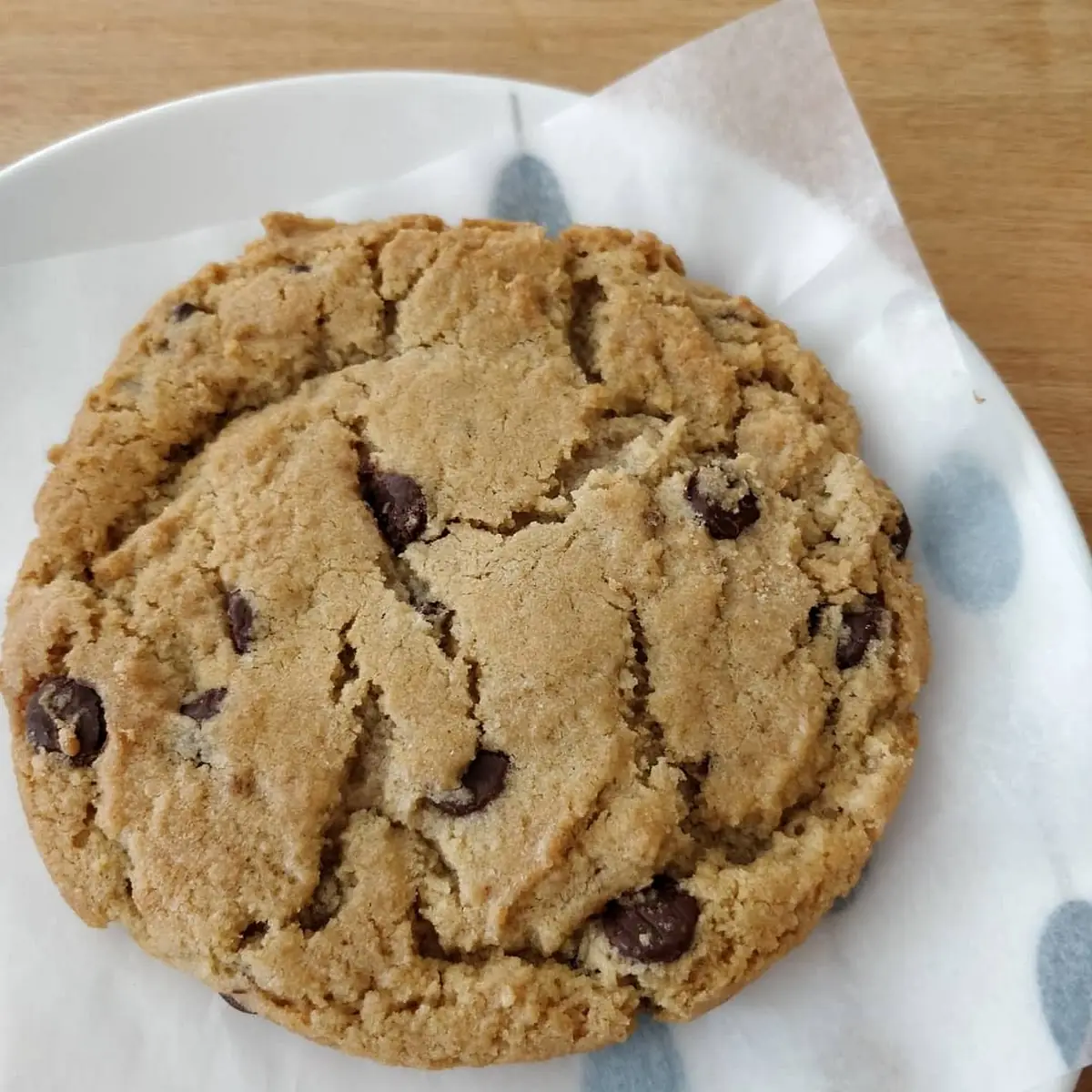 Chocolate Chip Cookie