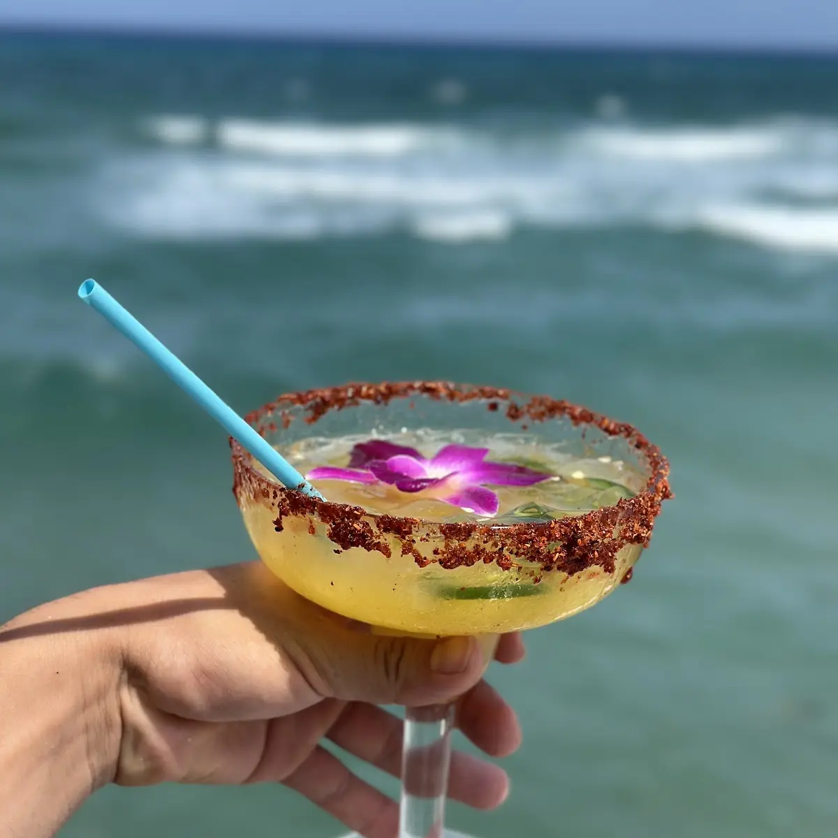 Key West Shrimp Martini
