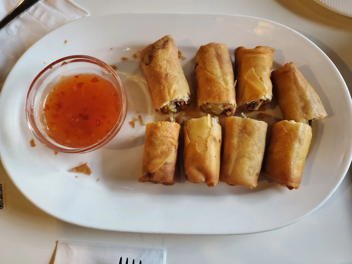 Vegetarian Spring Rolls