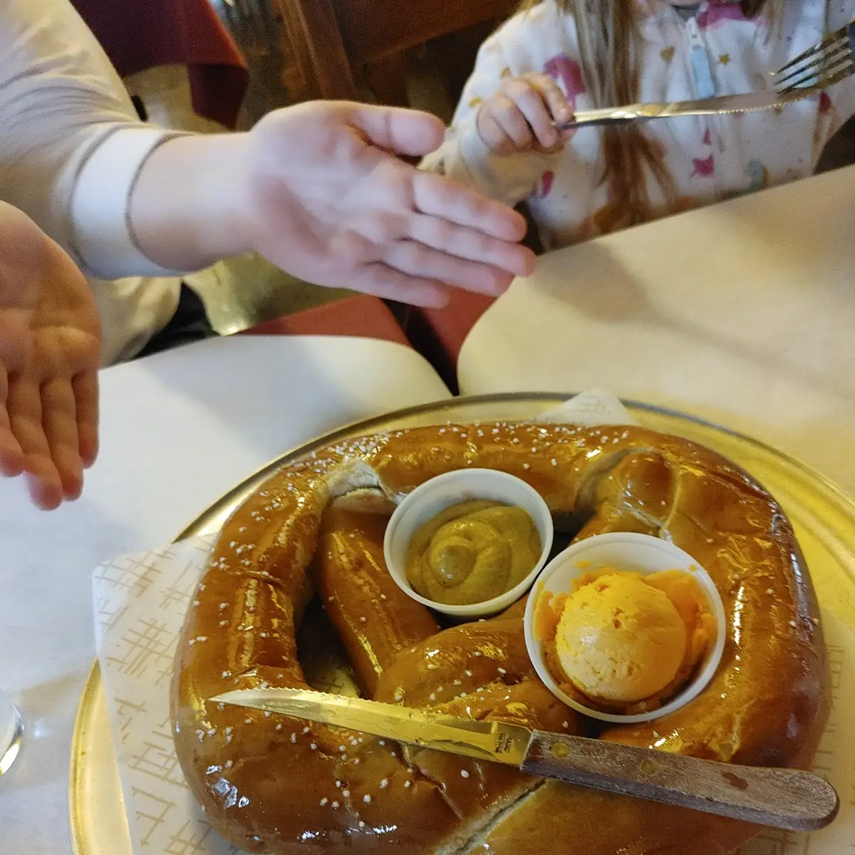 Giant Pretzel