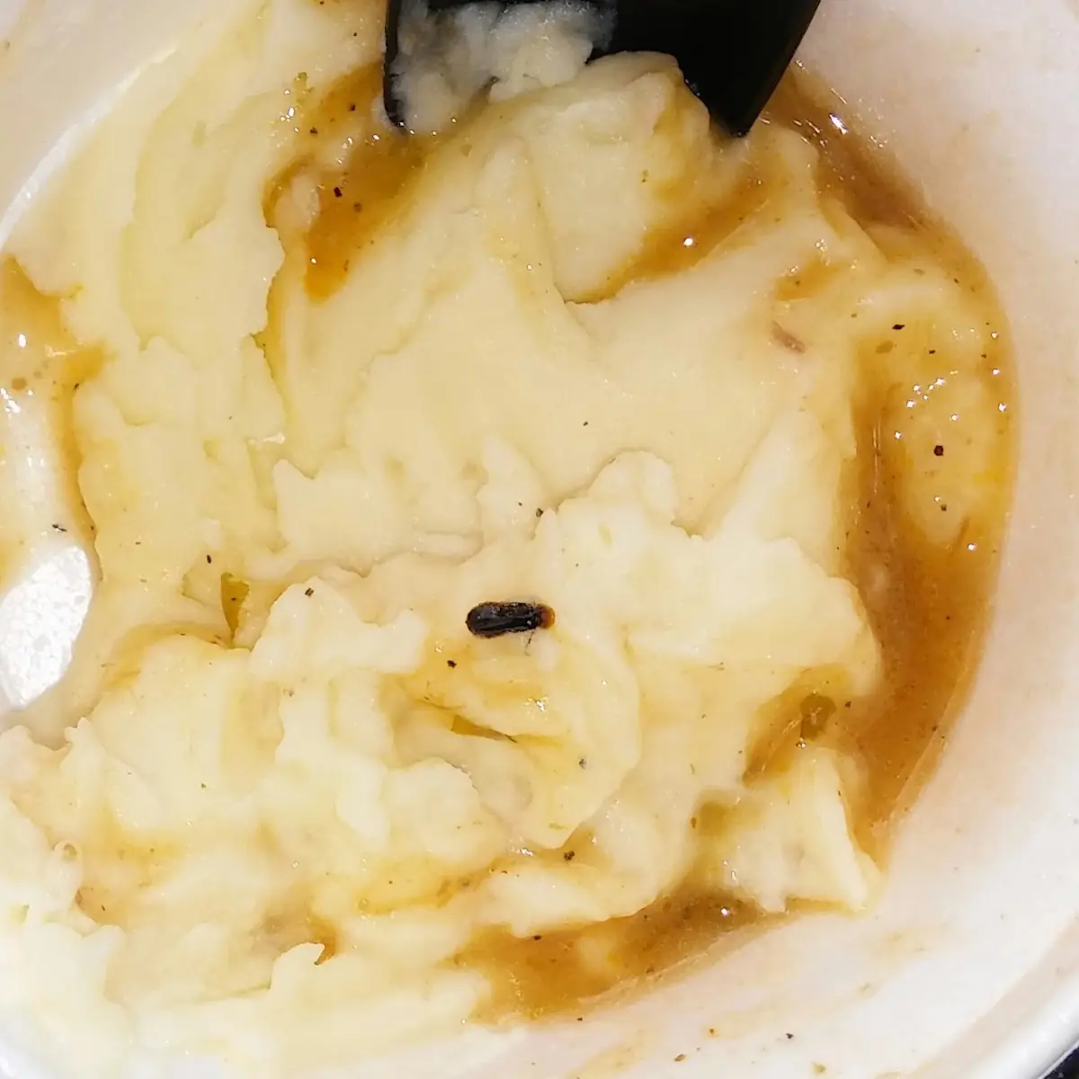 Mashed Potato