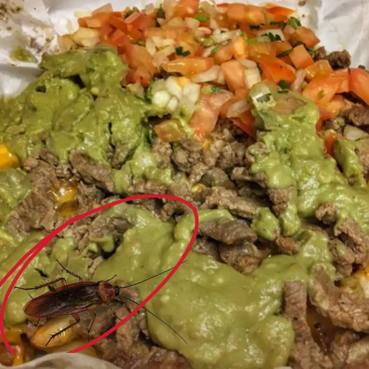 Carne Asada Fries