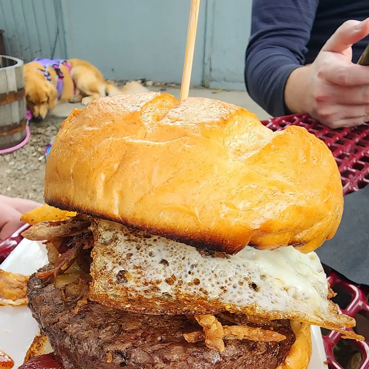 Barnyard Burger