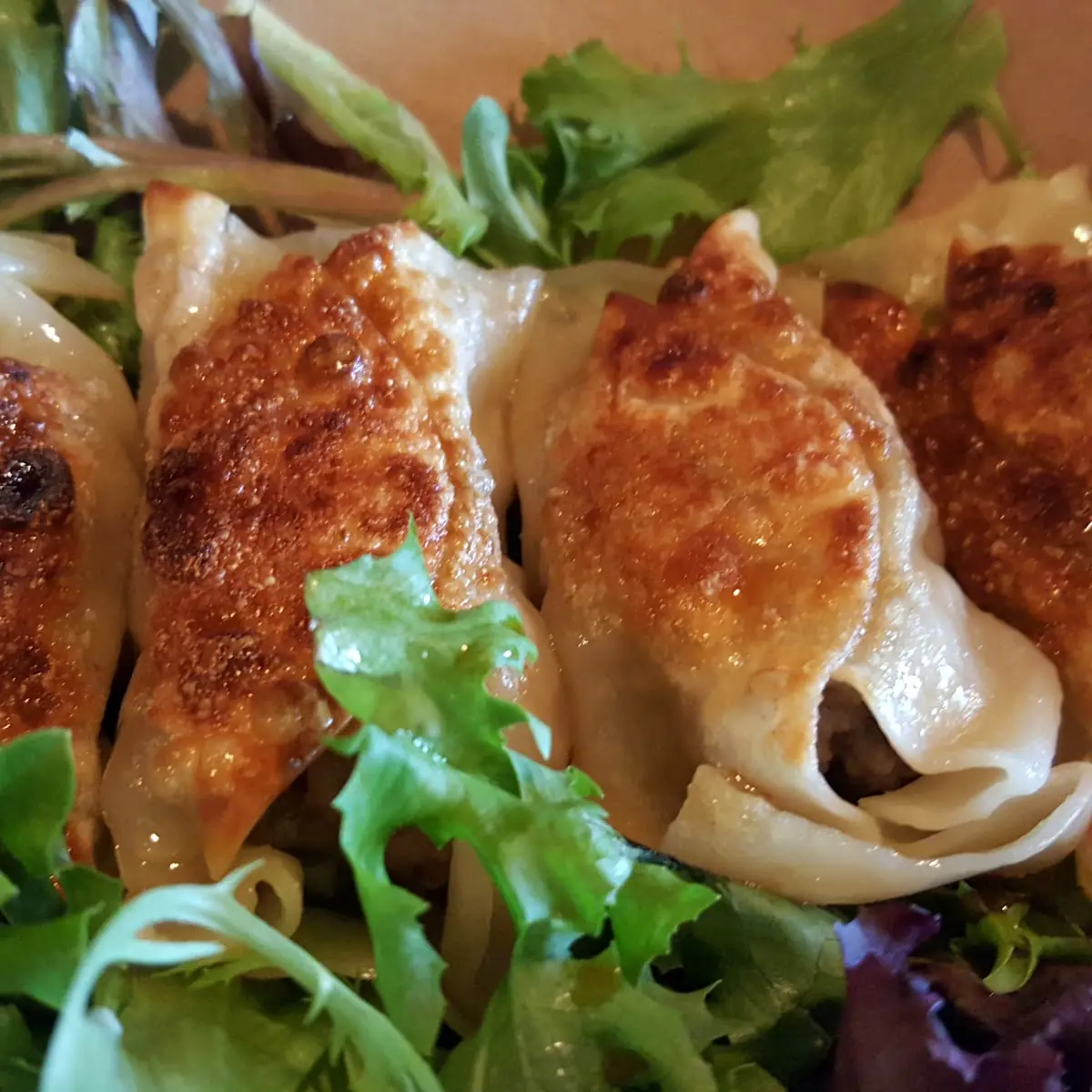 Beef Dumplings
