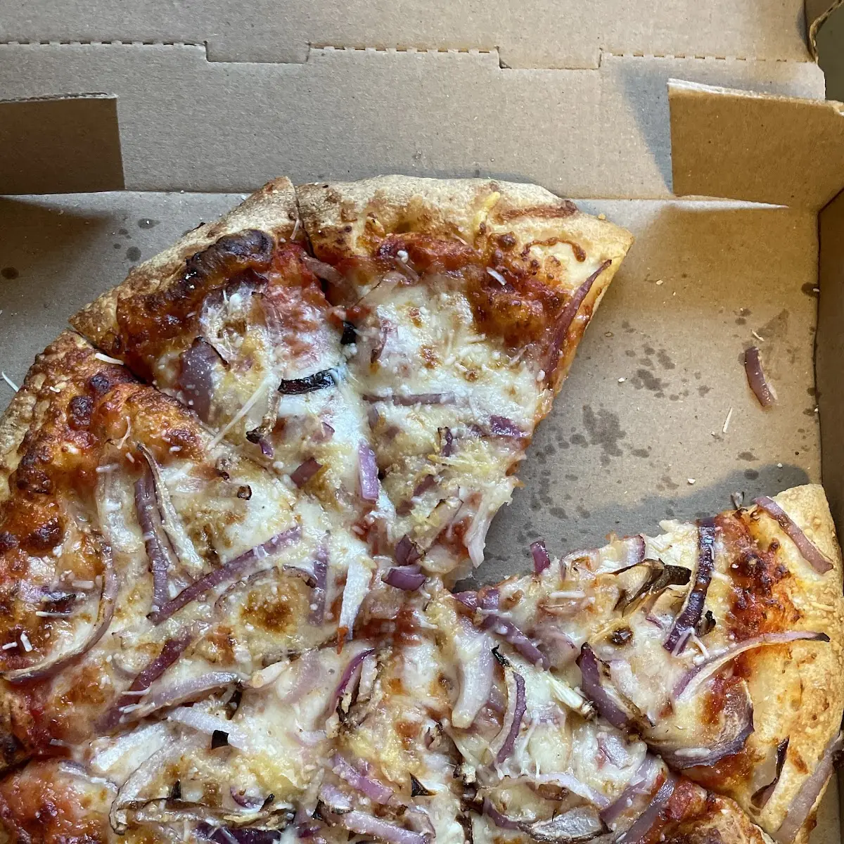 Cheese Pizza with Onions