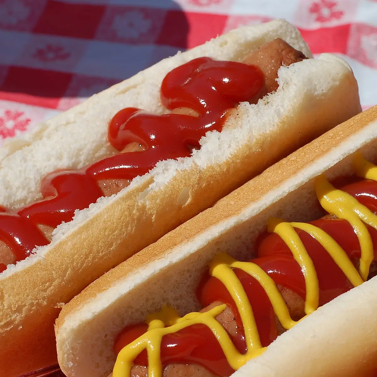 Hot Dog