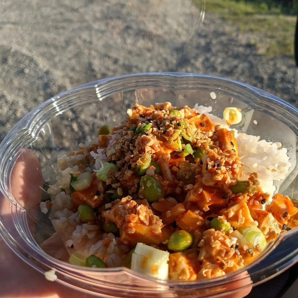 Hawaiian Poke Bowl