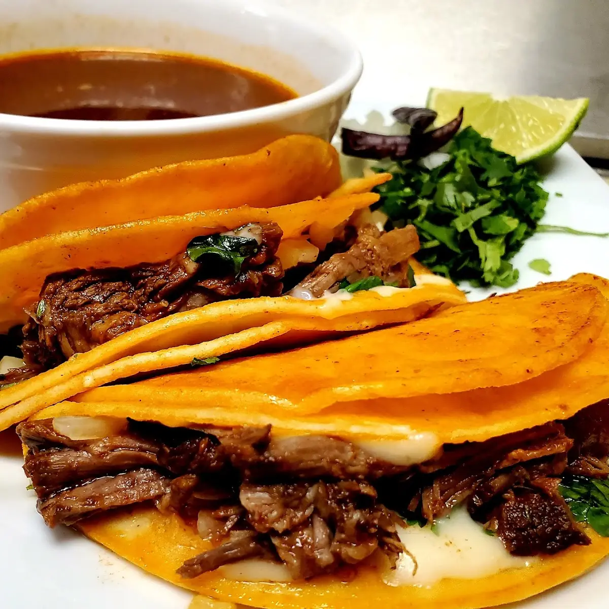 Quesadilla Portobello