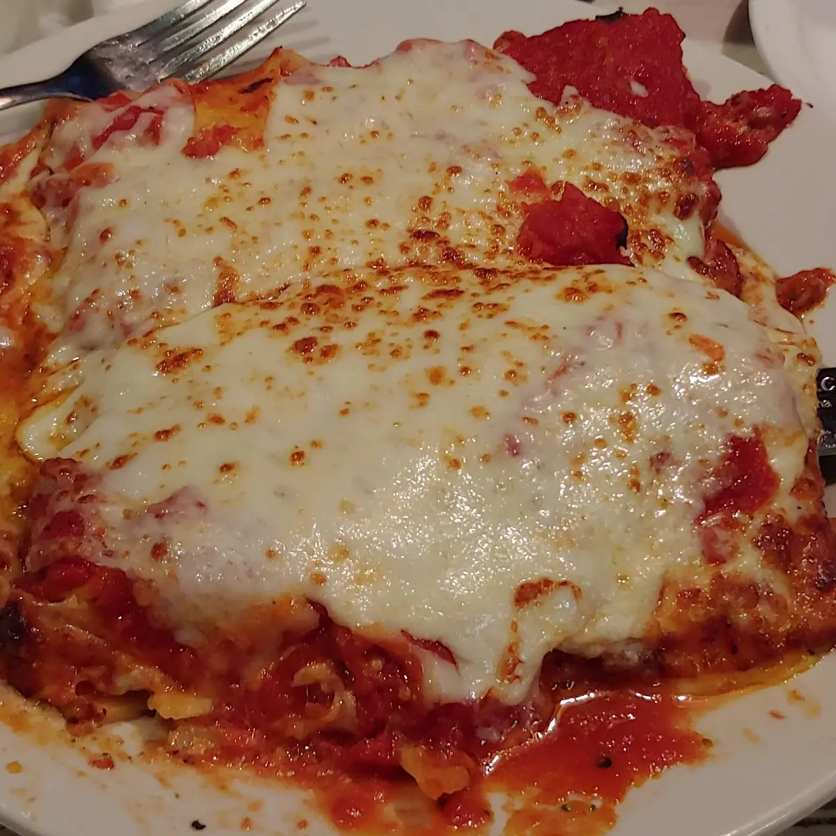 Vegetable Lasagna