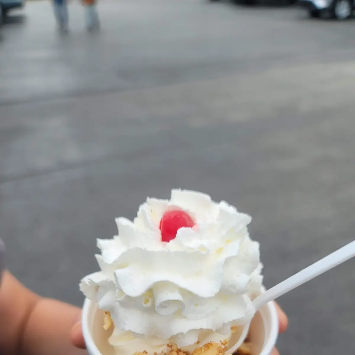 Cheese Cake Ice-Cream Sundae