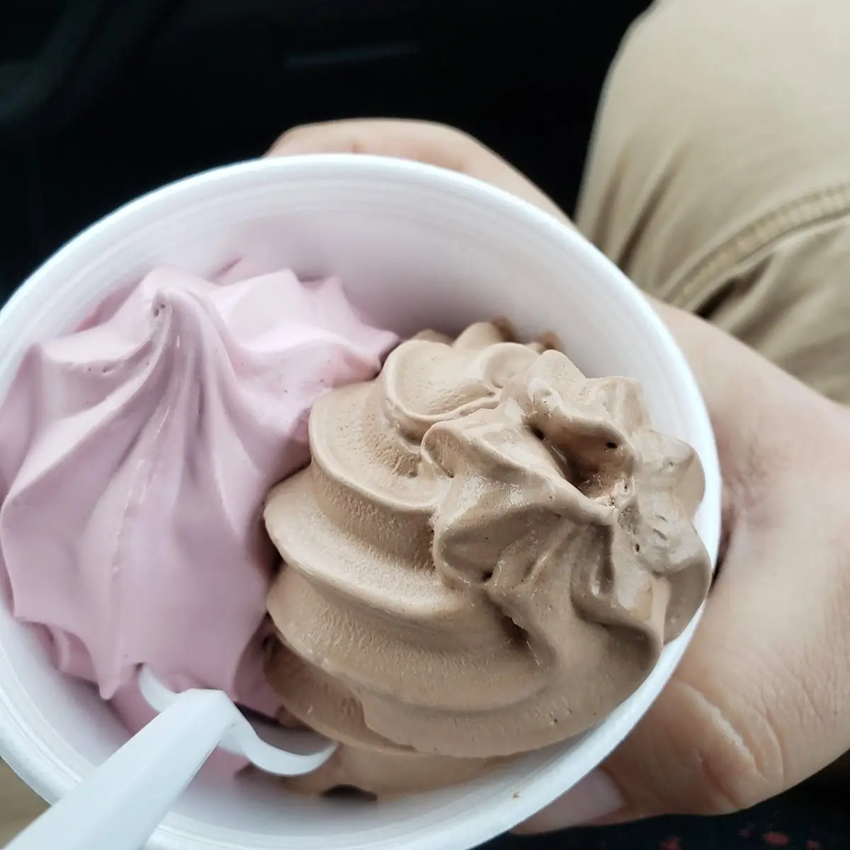 Raspberry and Chocolate Ice Cream