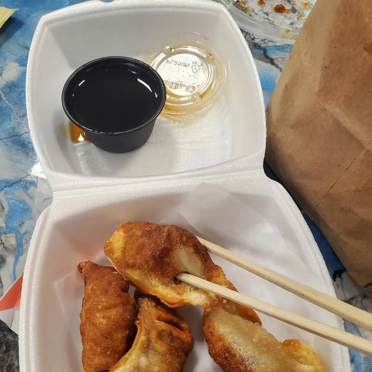 Fried Dumplings