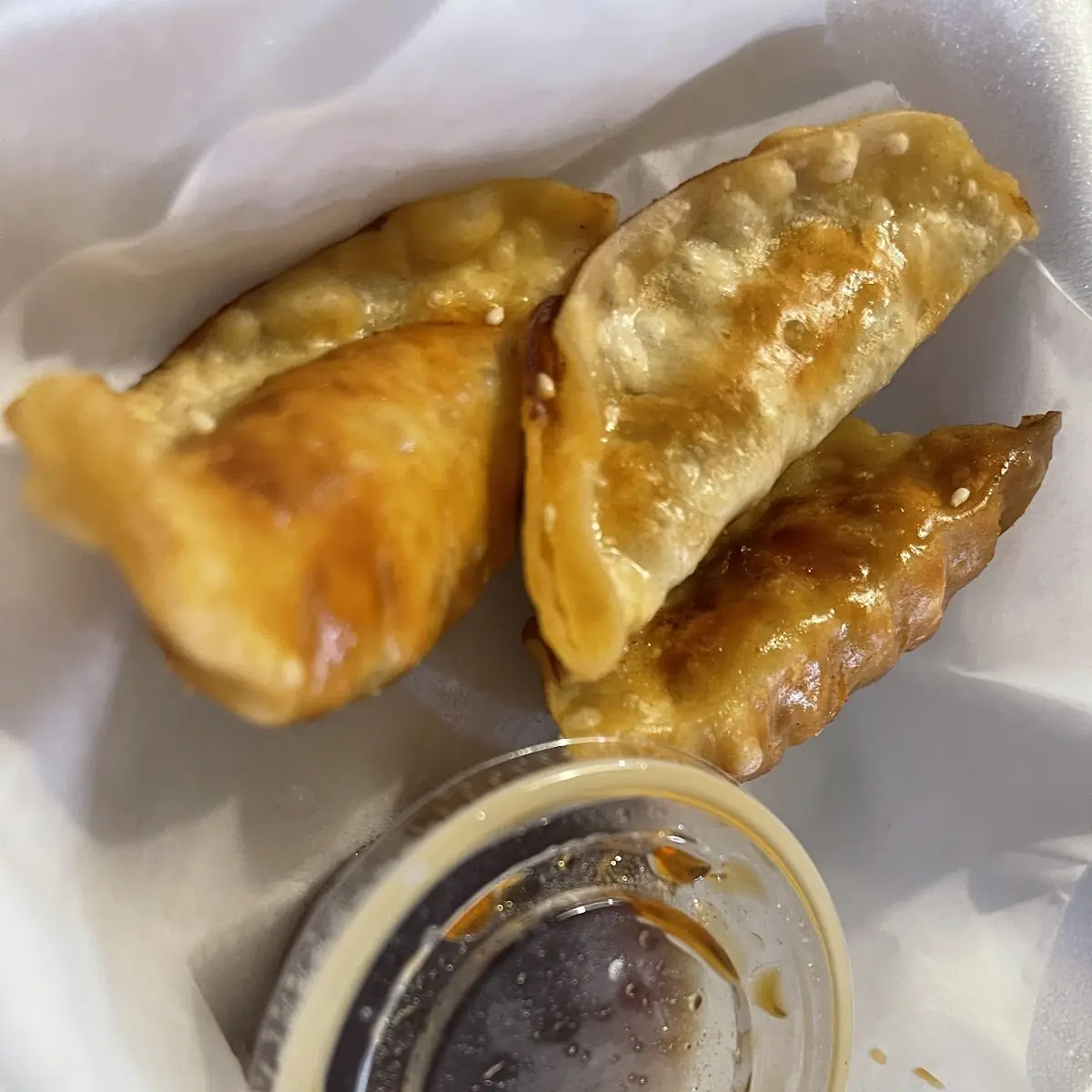 Fried Dumplings