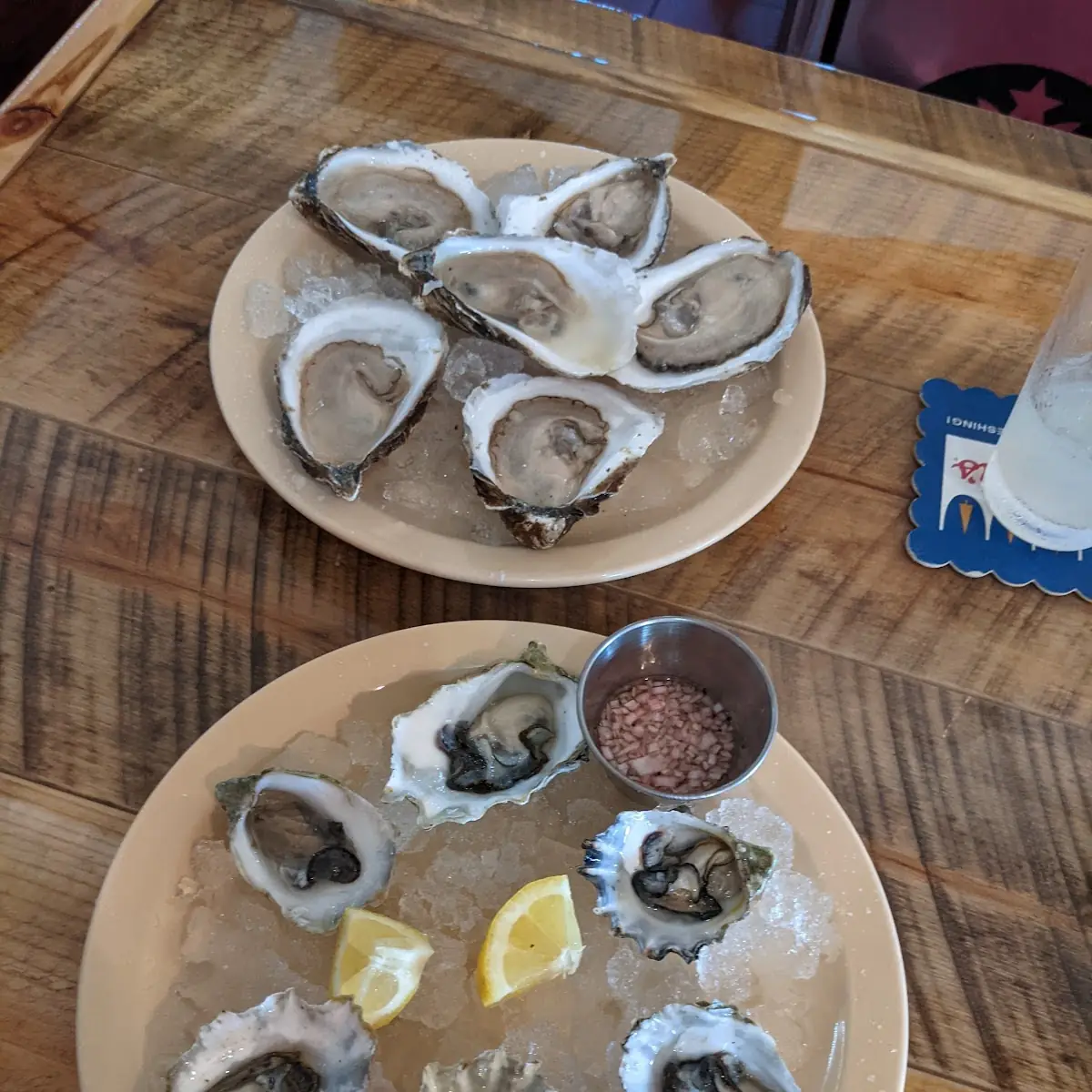 Fresh Oysters