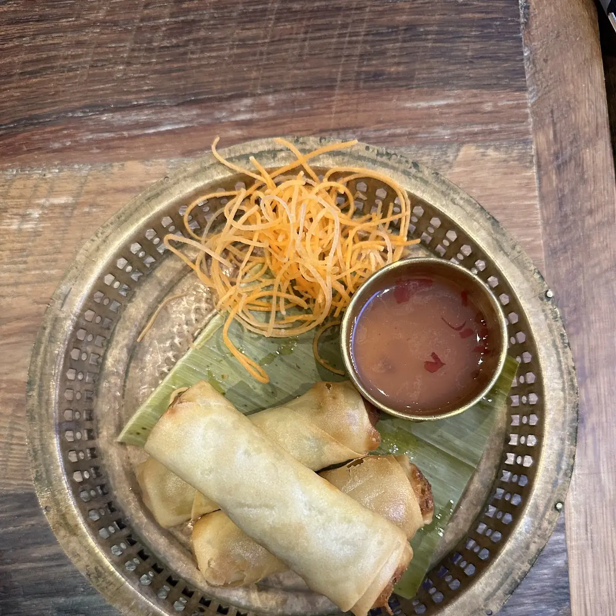 Crispy Spring Rolls