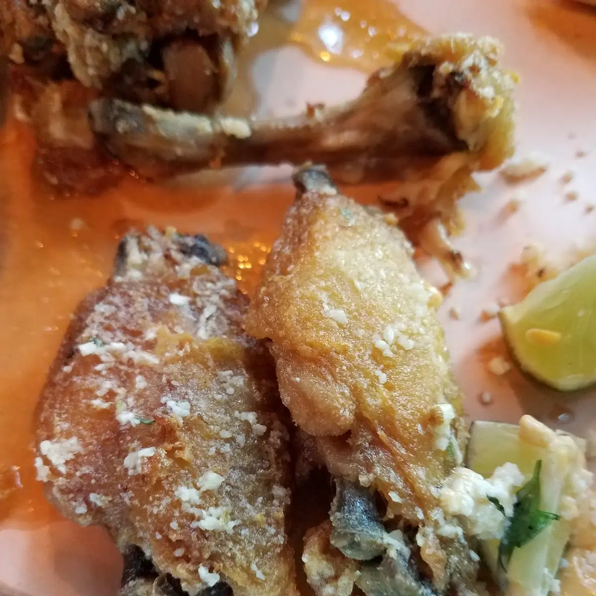 5pcs Wings