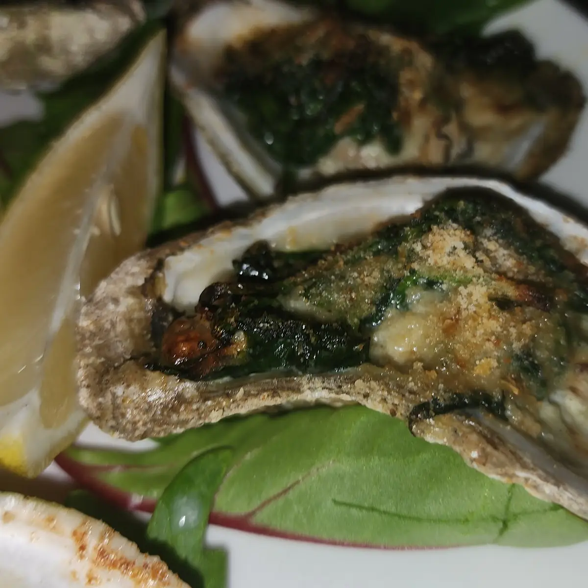 Oysters in the Half Shell