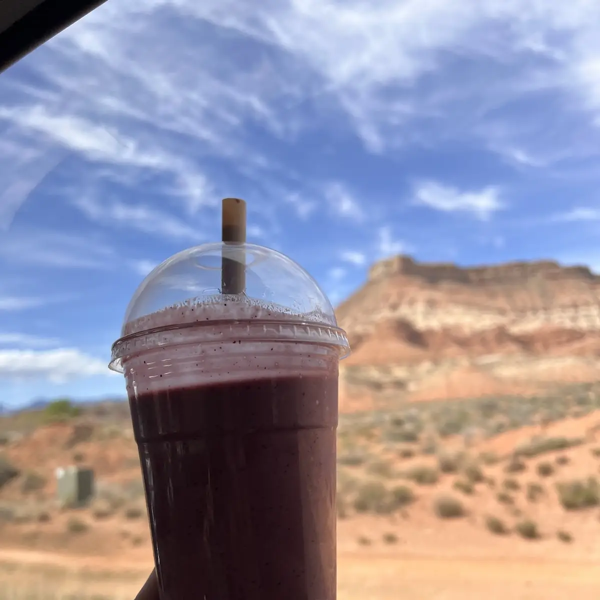 Prickly Pear Smoothie