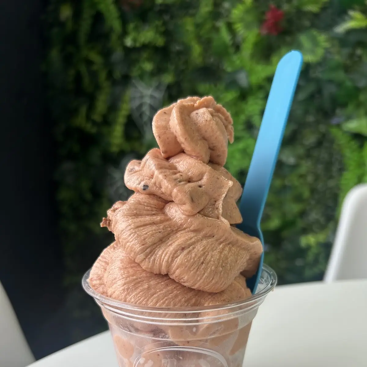 Chocolate Ice Cream