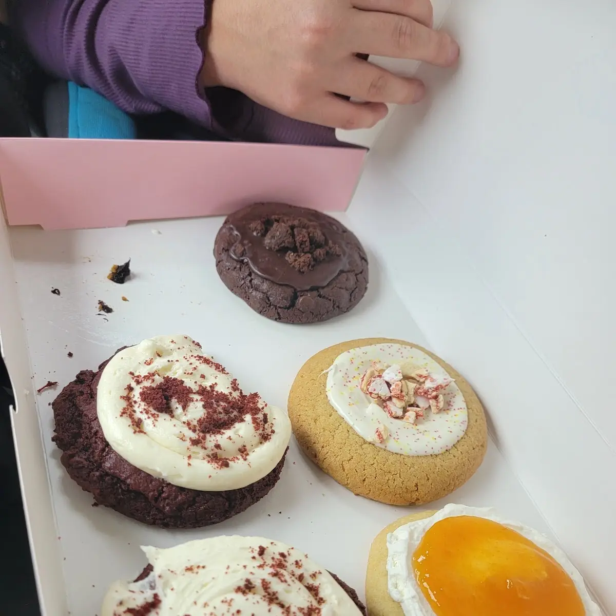 Doughnut