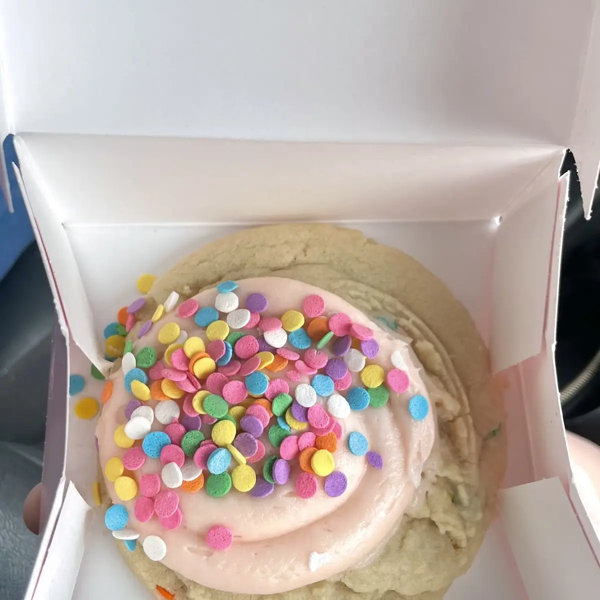 Sugar Cookie