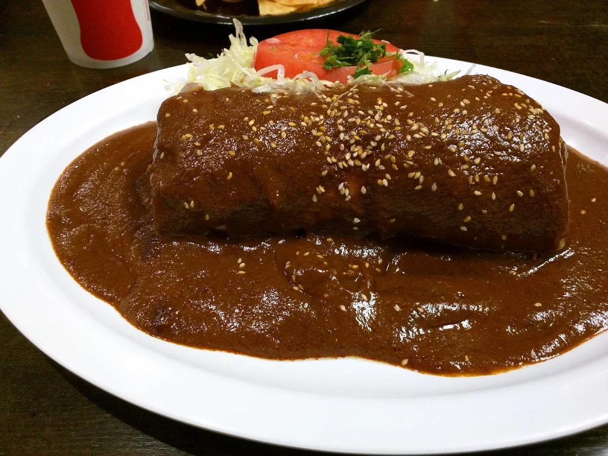 Chicken Burrito with Mole