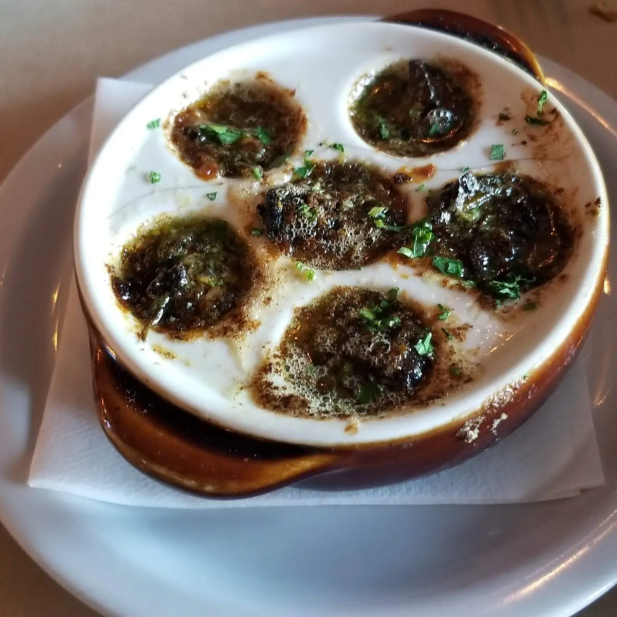 Escargot Stella Alpina