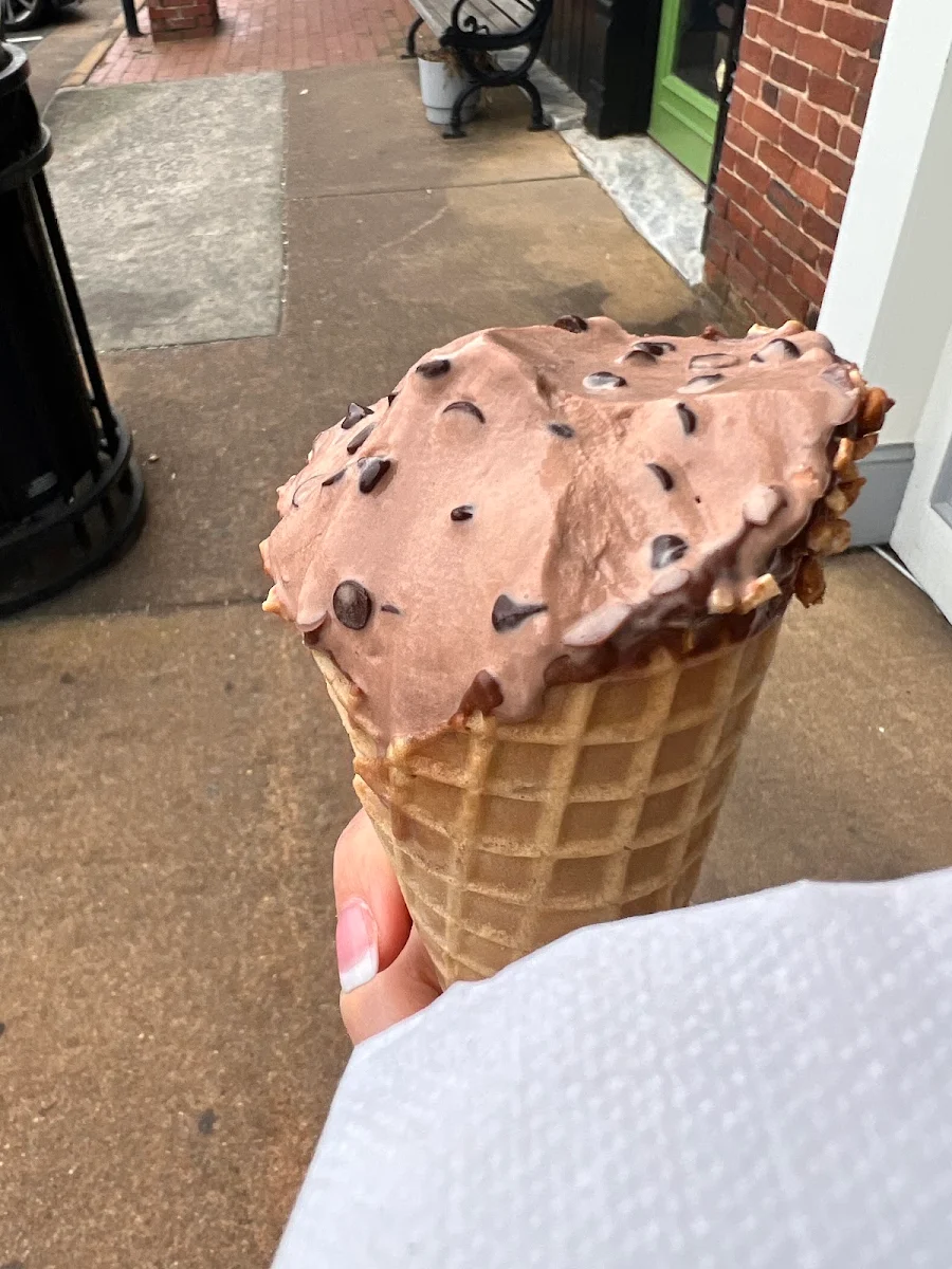 Chocolate Chocolate Chip Ice Cream