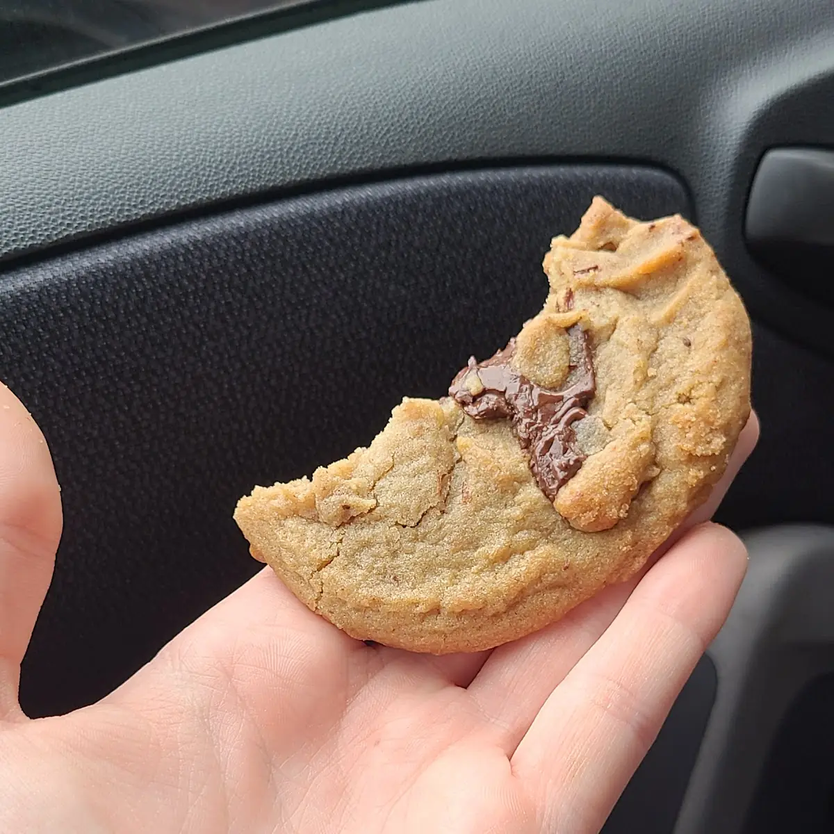 Chocolate Chip Cookie
