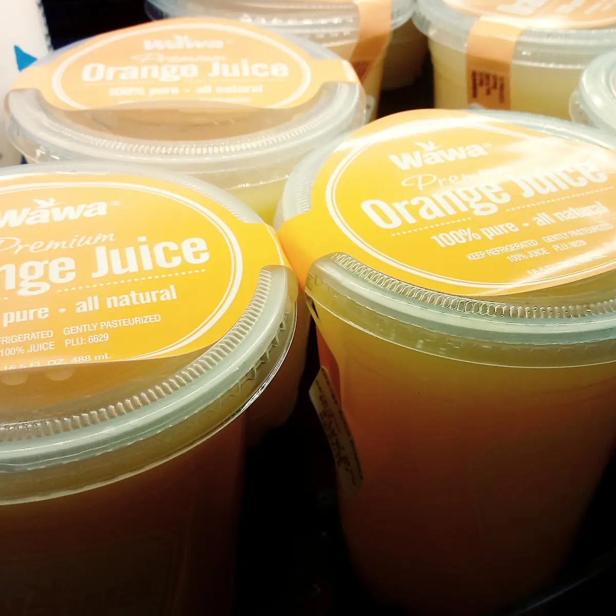 Fresh Squeezed Orange Juice
