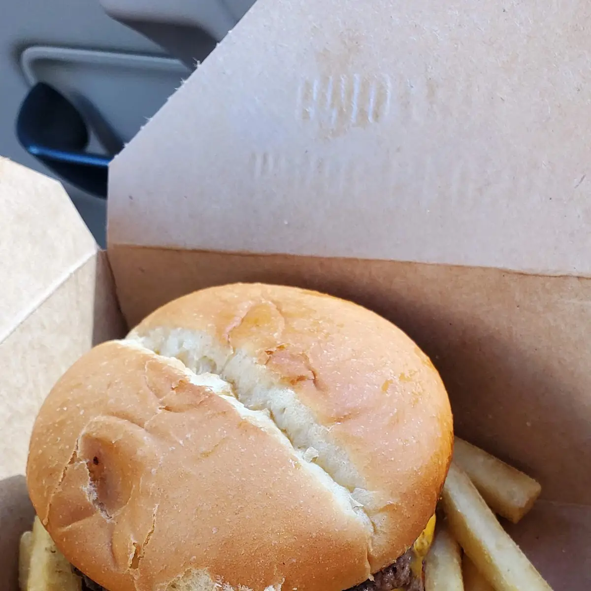 Cheese Burger and Fries