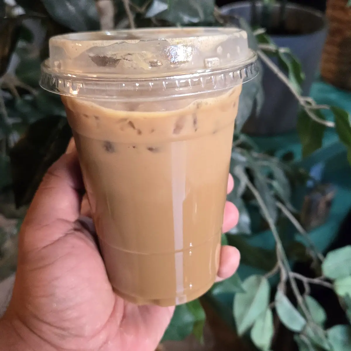 Vegan Horchata Cold Brew
