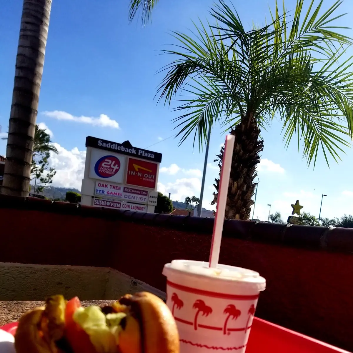 Animal Style Double Cheeseburger