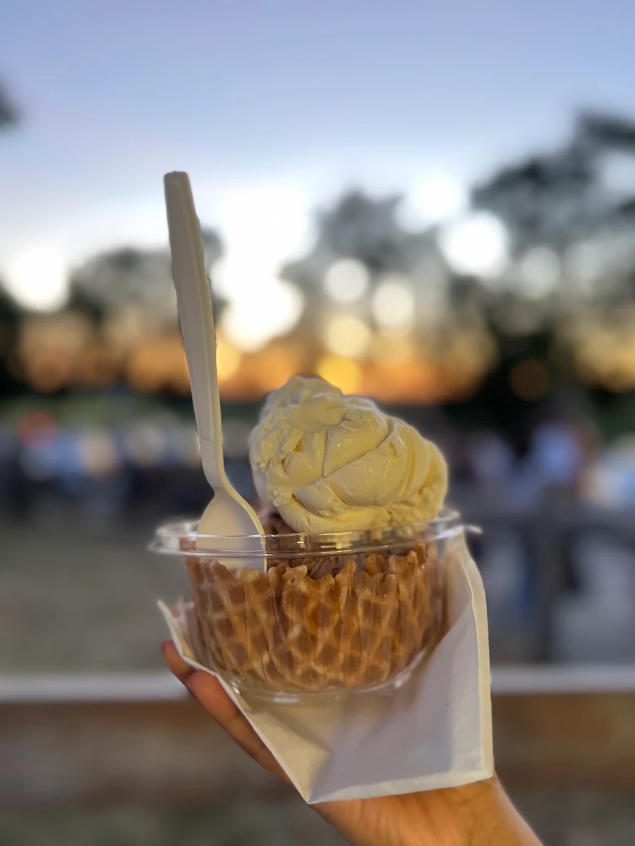 Scoop Waffle Cone