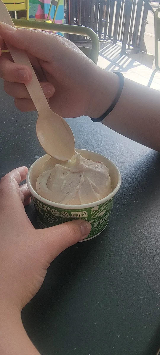 Vanilla Ice Cream