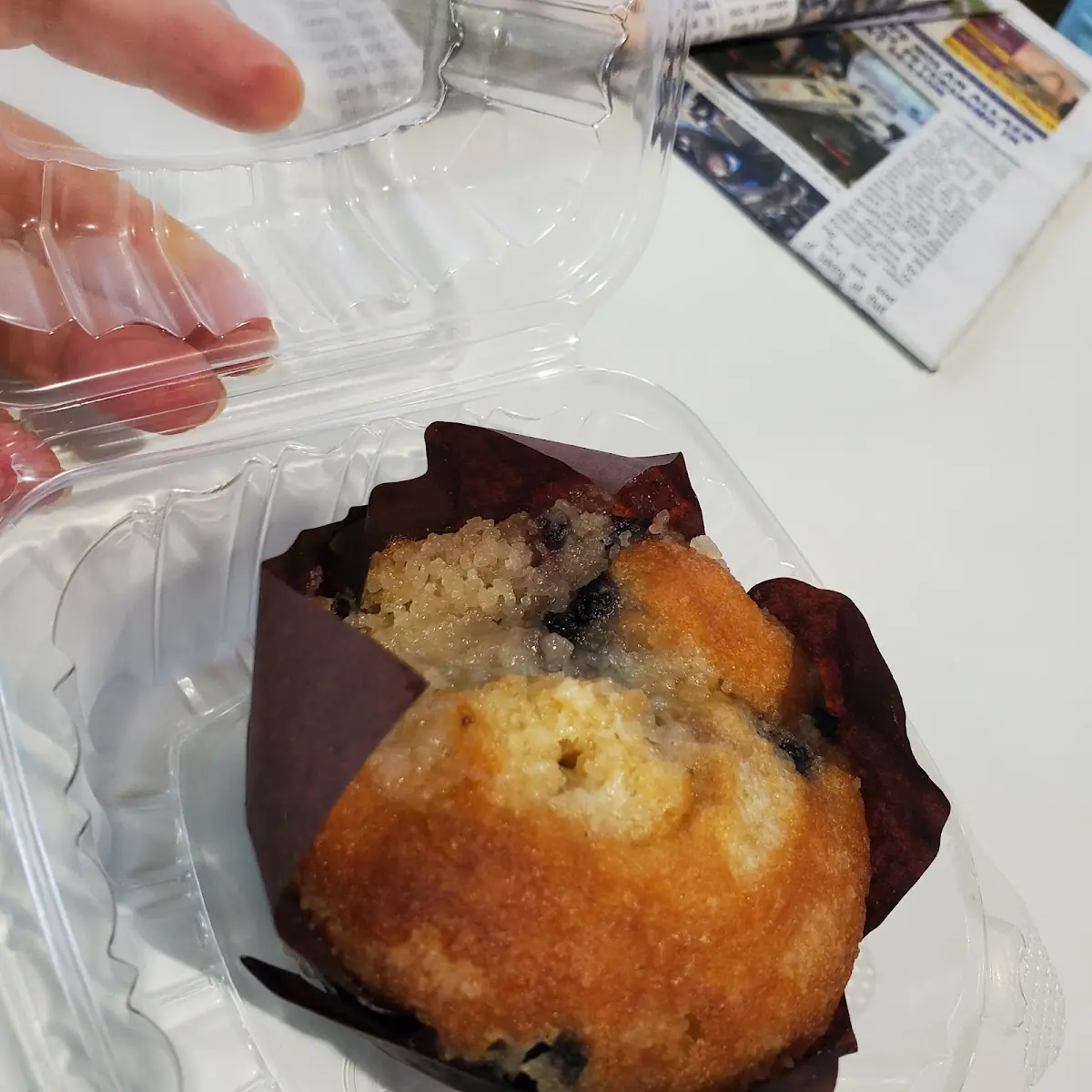 Blueberry Muffin