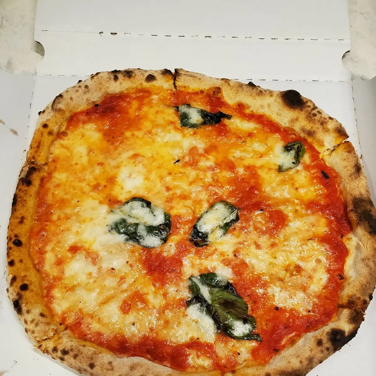 Margherita Pizza