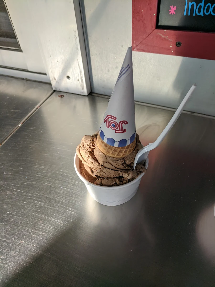 Moo's Mocha Chip with Sugar Cone