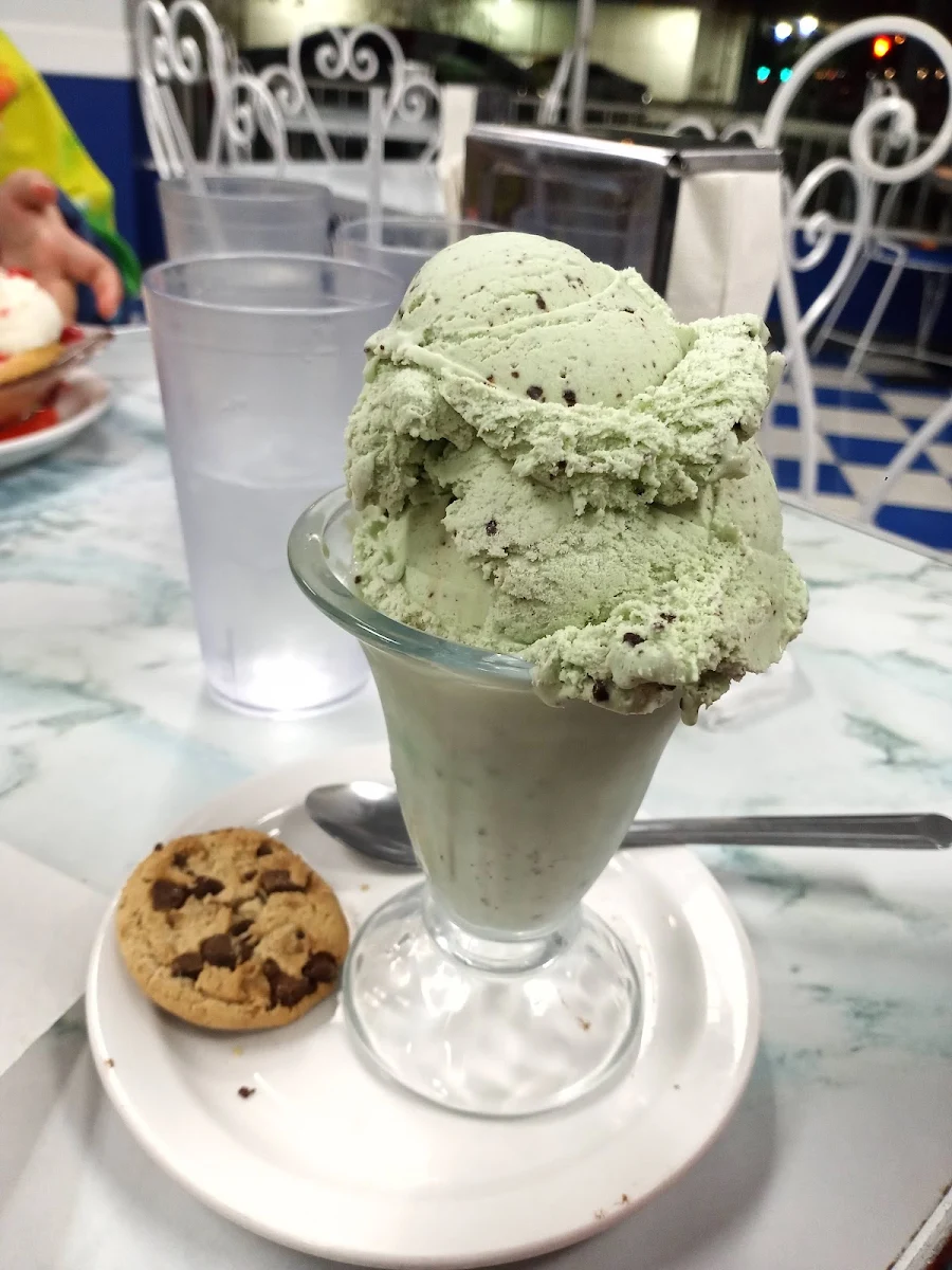 Mint & Chocolate Chip