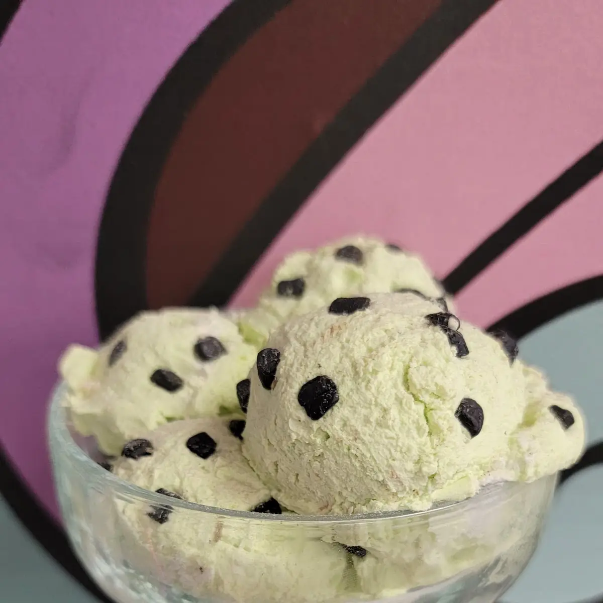 Mint Chocolate Chip
