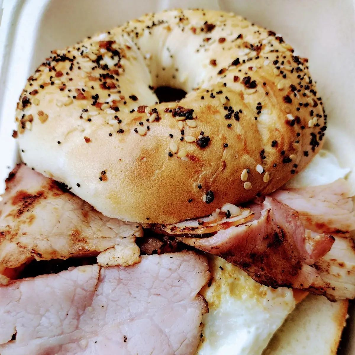 Ham Egg and Cheeseon a Toasted Everything Bagel