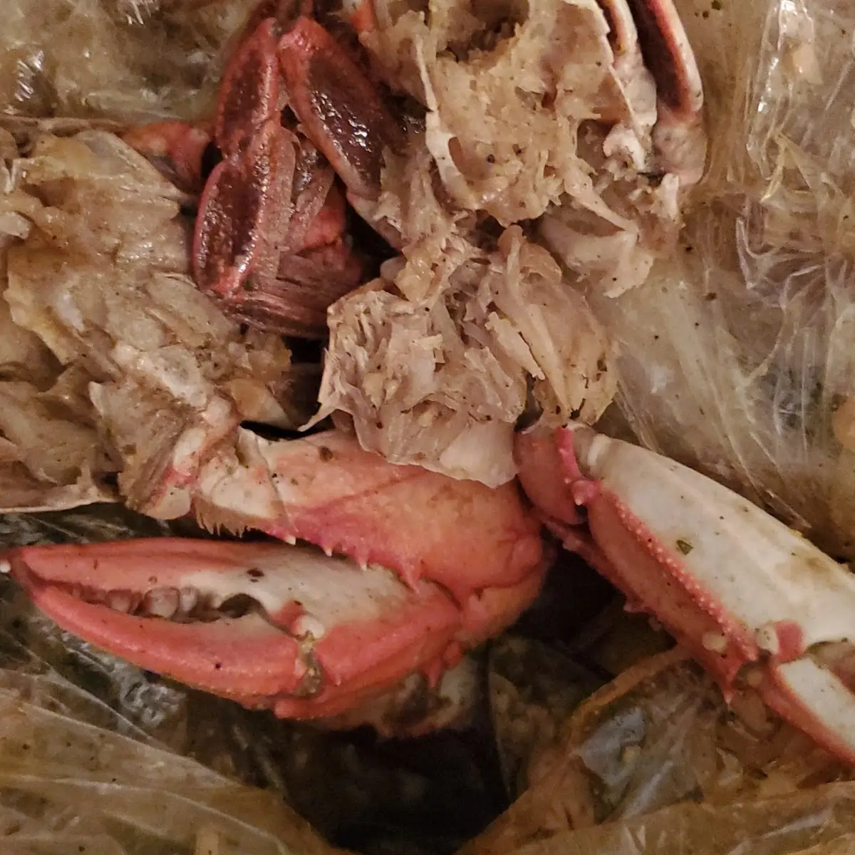 Pulled Pork