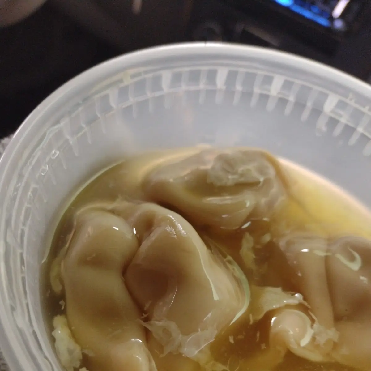 Wonton Soup