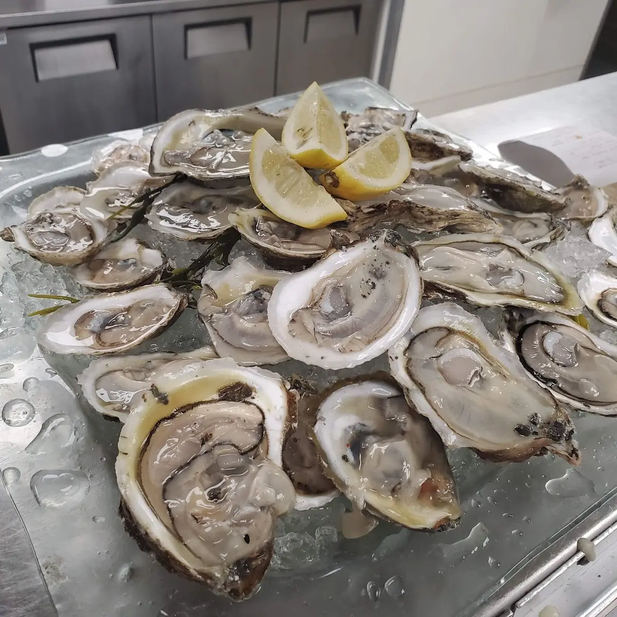 Oysters on the Half Shell