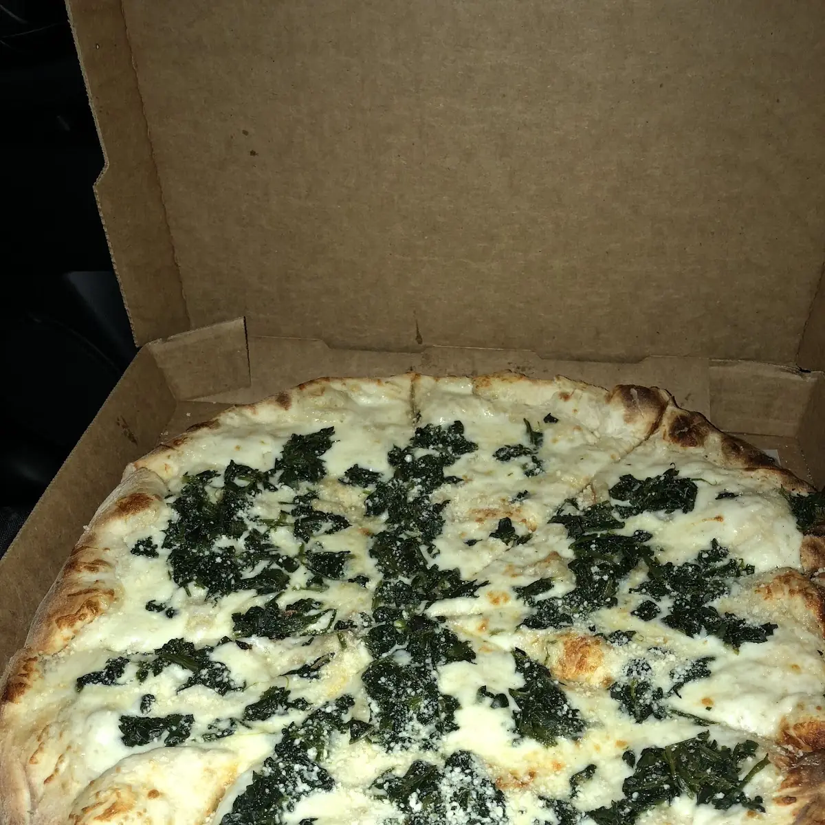 Thin Crust Pizza