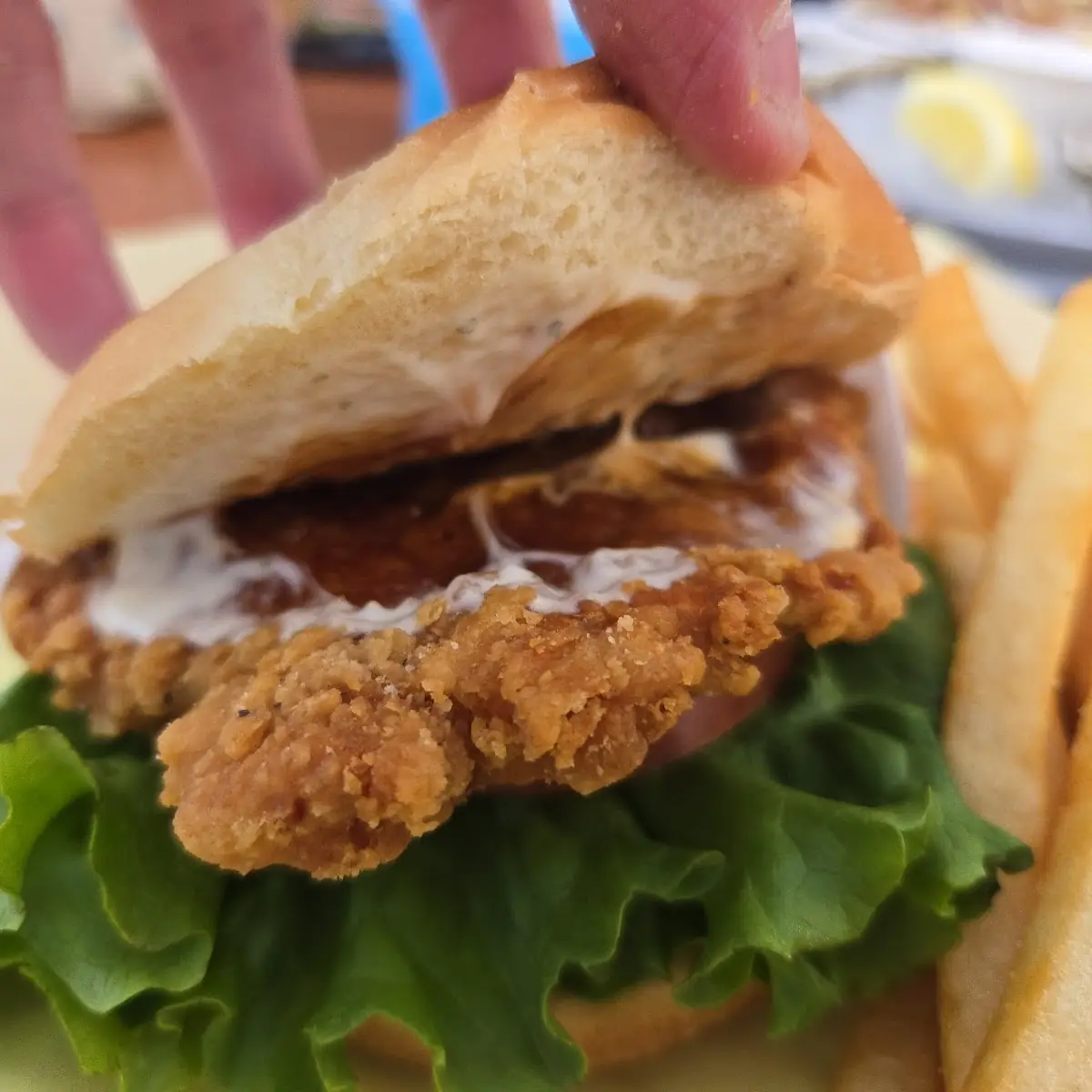 Chicken Sandwich