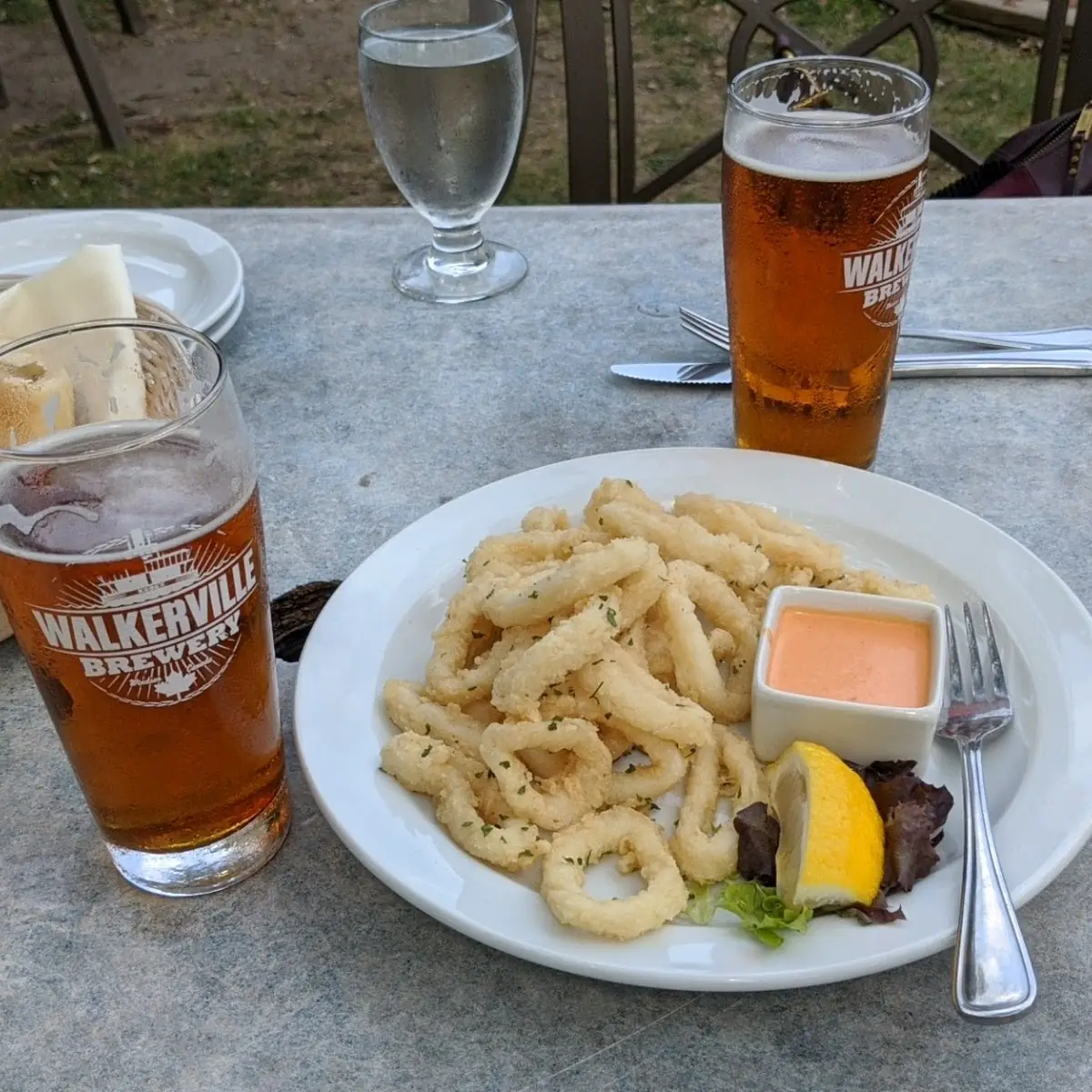 Dusted Calamari