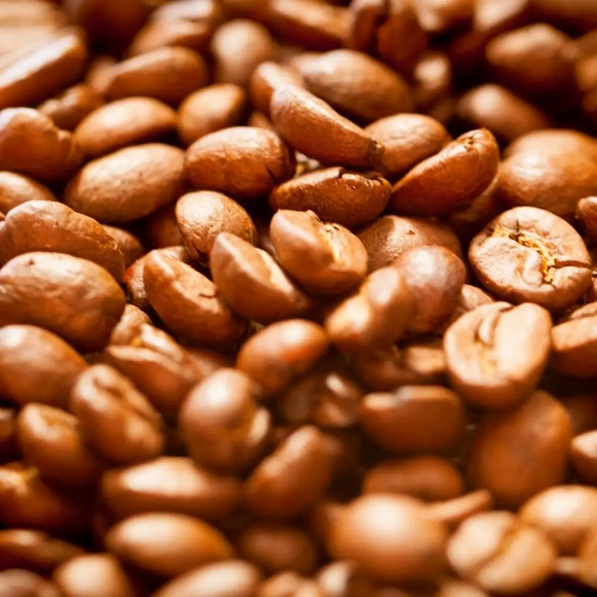 Ethiopian Sidamo Natural