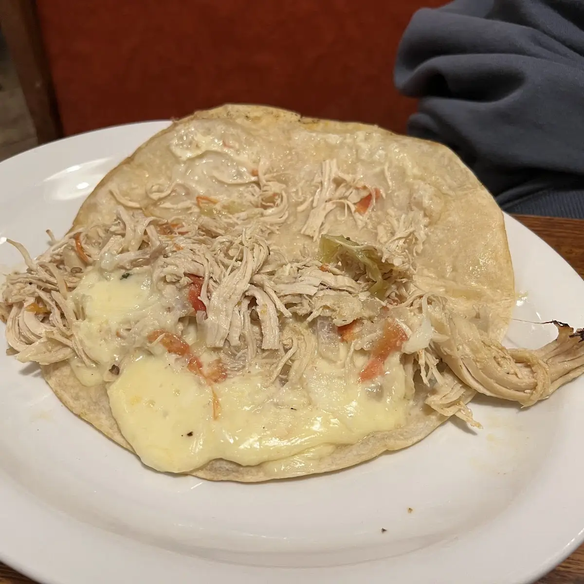 Unseasoned Chicken Quesadilla