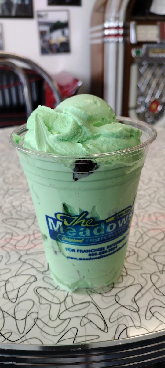 Mint Chocolate Chip Frozen Custard